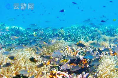 三沙西沙群岛