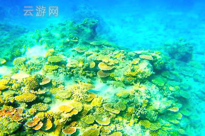 西沙海底世界