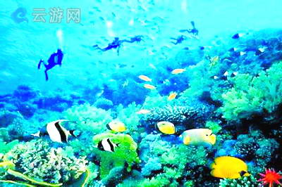 西沙海底世界