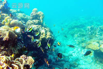 西沙海底世界