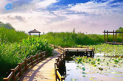 绍兴镜湖湿地公园