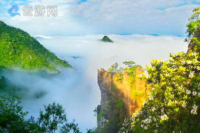 丽水箬寮原始林景区