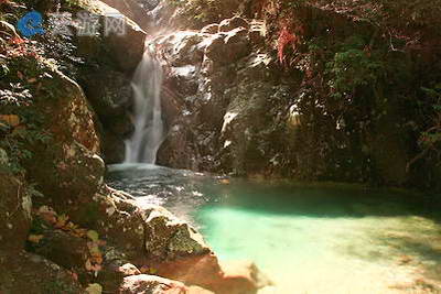 丽水箬寮原始林景区