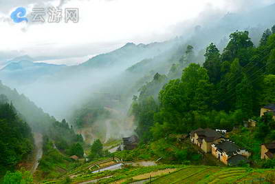 丽水箬寮原始林景区