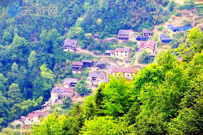 丽水箬寮原始林景区