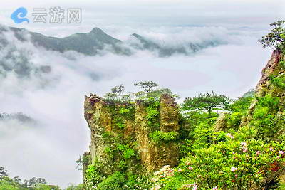 丽水箬寮原始林景区
