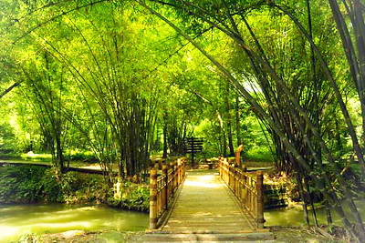 新津斑竹林景区