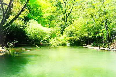 丽水遂昌神龙谷景区