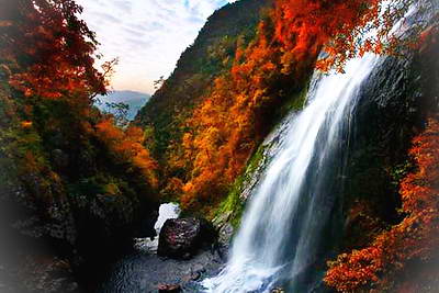丽水遂昌神龙谷景区