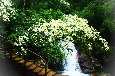 丽水遂昌神龙谷景区