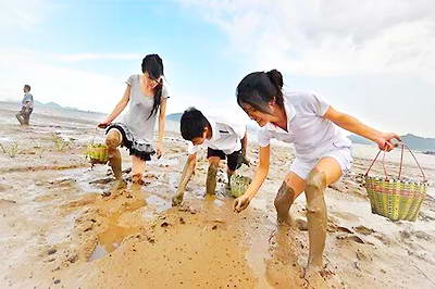 台州三门蛇蟠岛景区