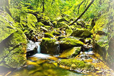 开化古田山风景旅游区