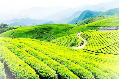 宁波余姚丹山赤水风景区