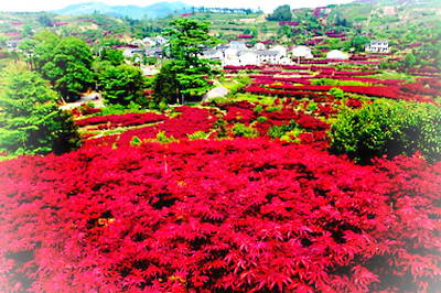 宁波余姚丹山赤水风景区