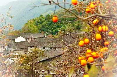 宁波余姚丹山赤水风景区