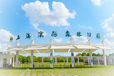 上海滨海森林公园