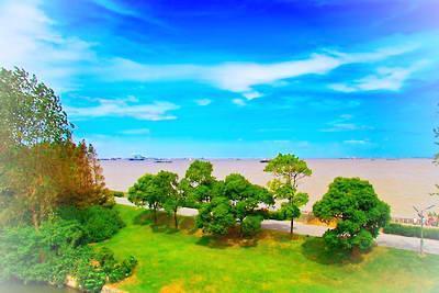 上海滨江森林公园