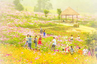 奇芳花谷花卉观光园