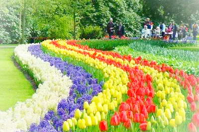 重庆奉节龙会花谷