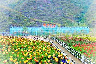 重庆奉节龙会花谷