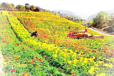 重庆大湾花仙谷乡村旅游区