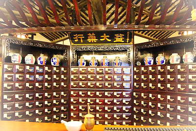 上海益大本草园