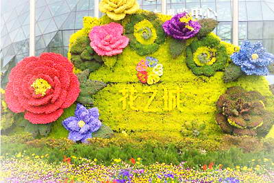 昆明花之城