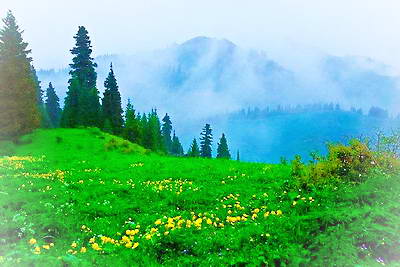 乌鲁木齐南山牧场