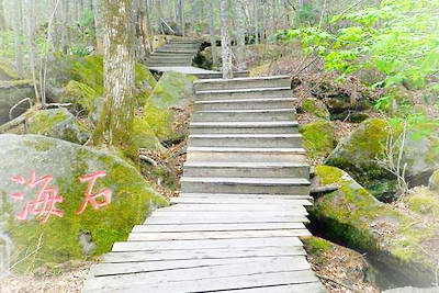 通河铧子山森林公园