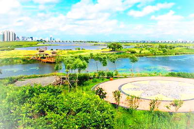 哈尔滨金河湾湿地植物园