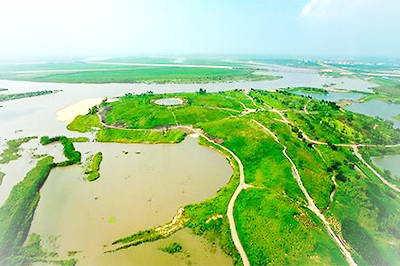 哈尔滨金河湾湿地植物园