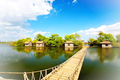 哈尔滨金河湾湿地植物园