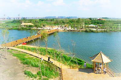 哈尔滨金河湾湿地植物园