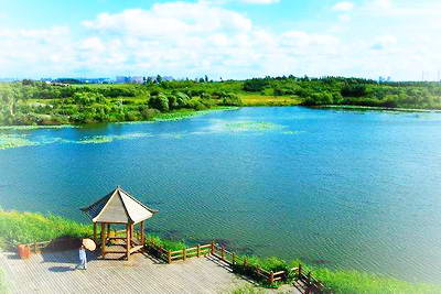 哈尔滨金河湾湿地植物园