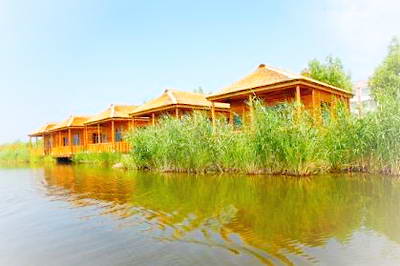 哈尔滨金河湾湿地植物园