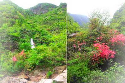 湖州落伽山景区