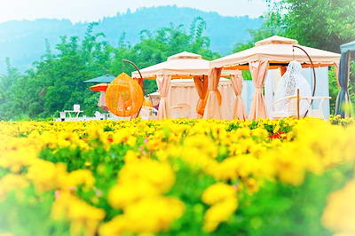 黔南荔波四季花海公园