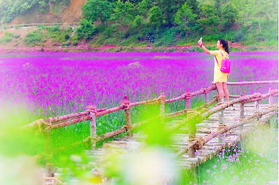 黔南荔波四季花海公园