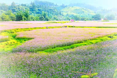 黔南荔波四季花海公园