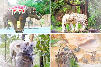 贵阳森林野生动物园