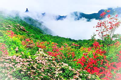 铜仁梵净山
