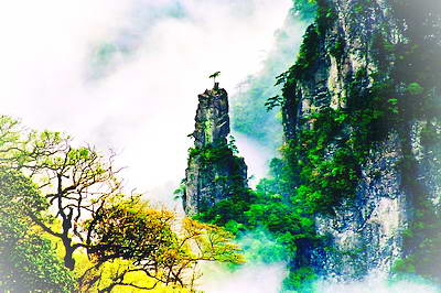 铜仁梵净山