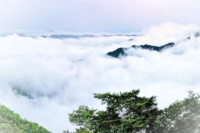 铜仁梵净山