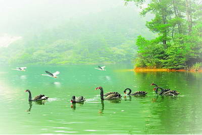 南阳桐柏淮源风景区