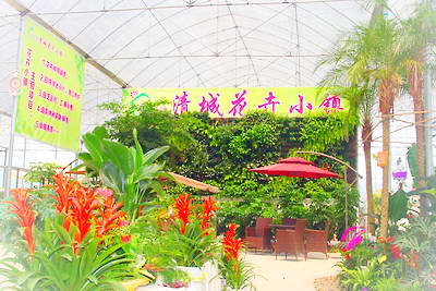 清远花卉小镇