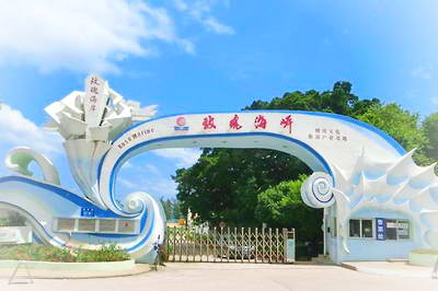深圳玫瑰海岸