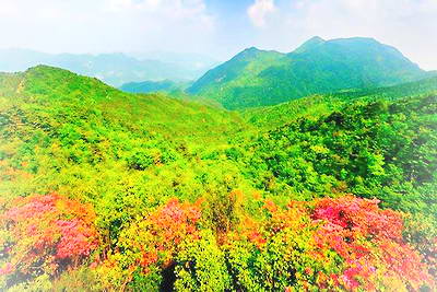 商城黄柏山森林公园
