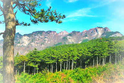 商城黄柏山森林公园
