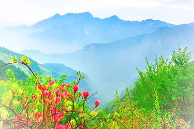 商城黄柏山森林公园