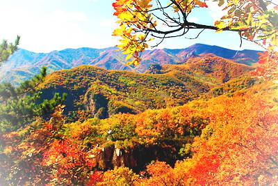 北京喇叭沟门原始森林公园